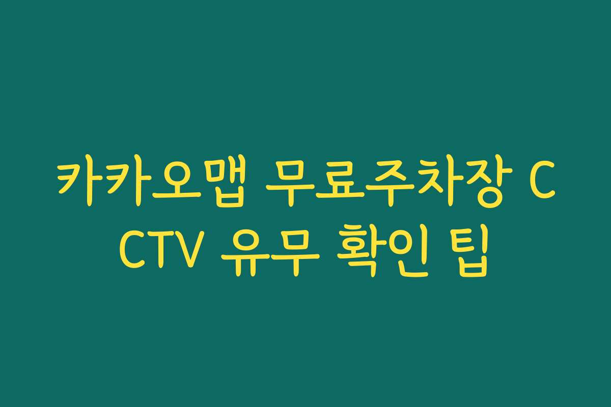 카카오맵 무료주차장 CCTV 유무 확인 팁