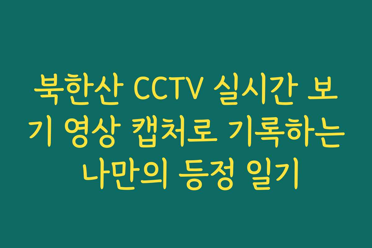 북한산 CCTV 실시간 보기 영상 캡처로 기록하는 나만의 등정 일기