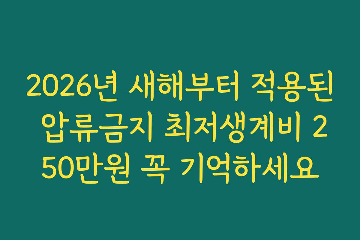 2026년 새해부터 적용된 압류금지 최저생계비 250만원 꼭 기억하세요