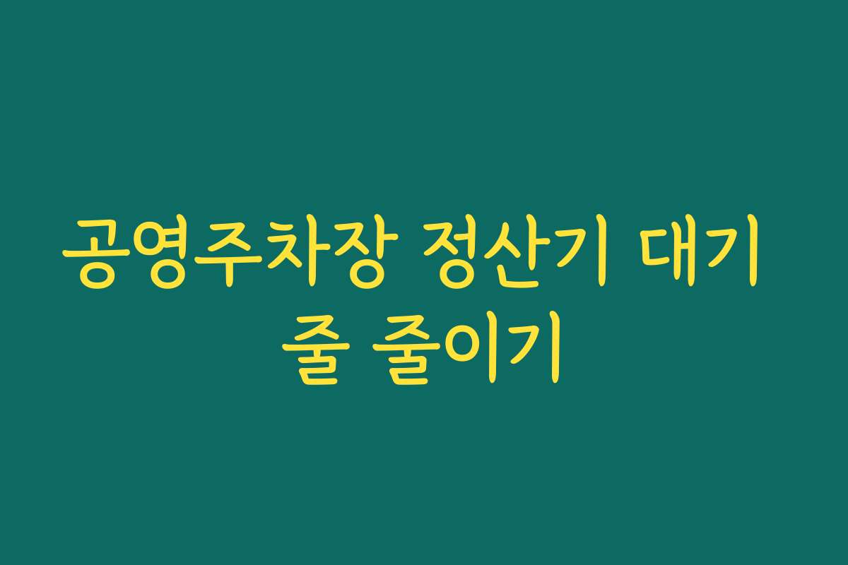 공영주차장 정산기 대기 줄 줄이기
