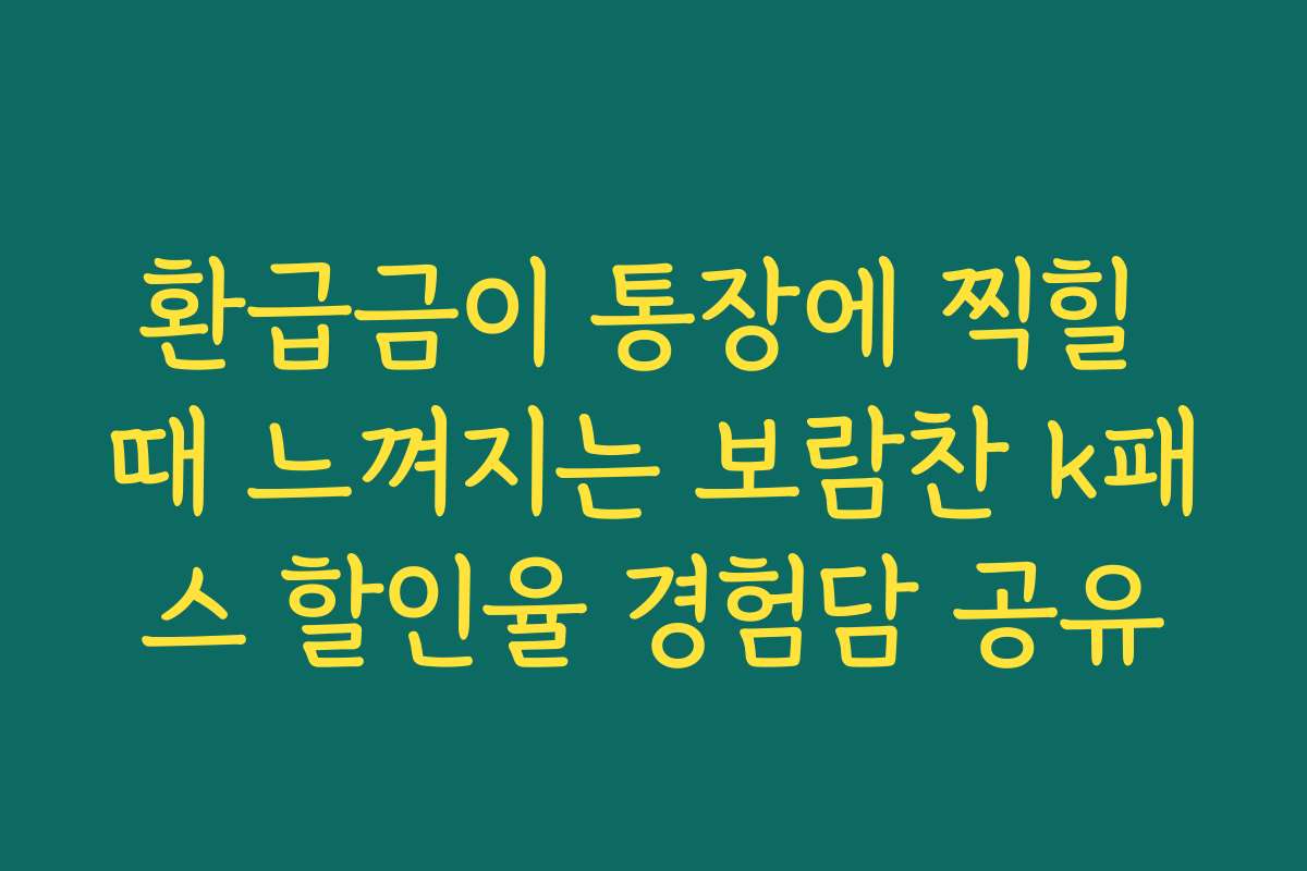 환급금이 통장에 찍힐 때 느껴지는 보람찬 k패스 할인율 경험담 공유