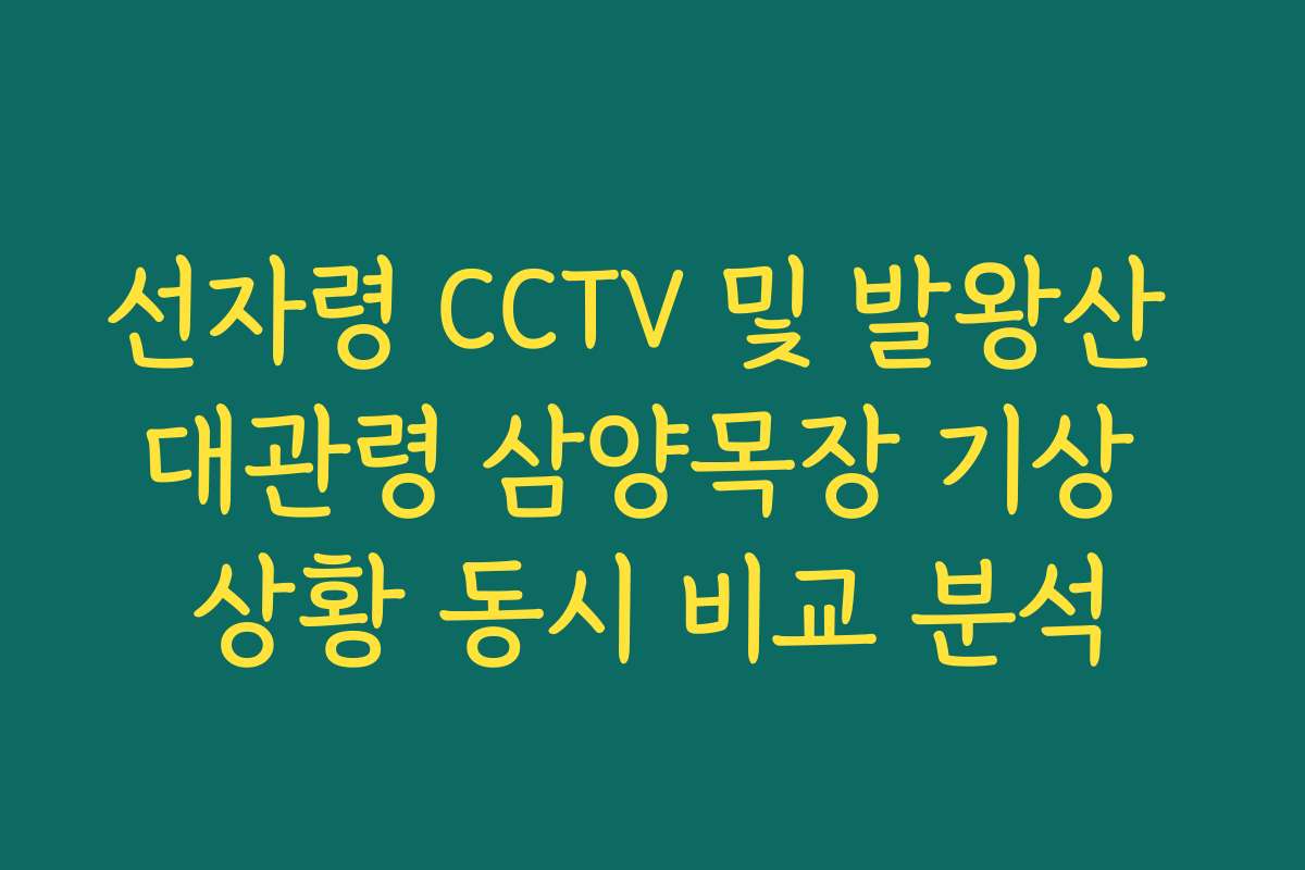 선자령 CCTV 및 발왕산 대관령 삼양목장 기상 상황 동시 비교 분석