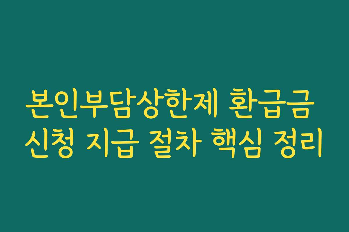 본인부담상한제 환급금 신청 지급 절차 핵심 정리