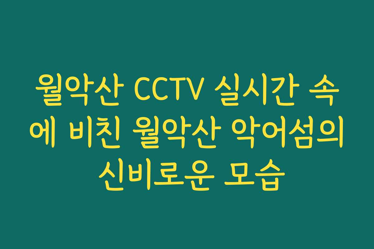 월악산 CCTV 실시간 속에 비친 월악산 악어섬의 신비로운 모습