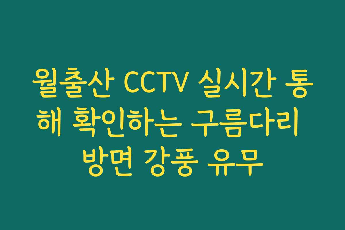 월출산 CCTV 실시간 통해 확인하는 구름다리 방면 강풍 유무