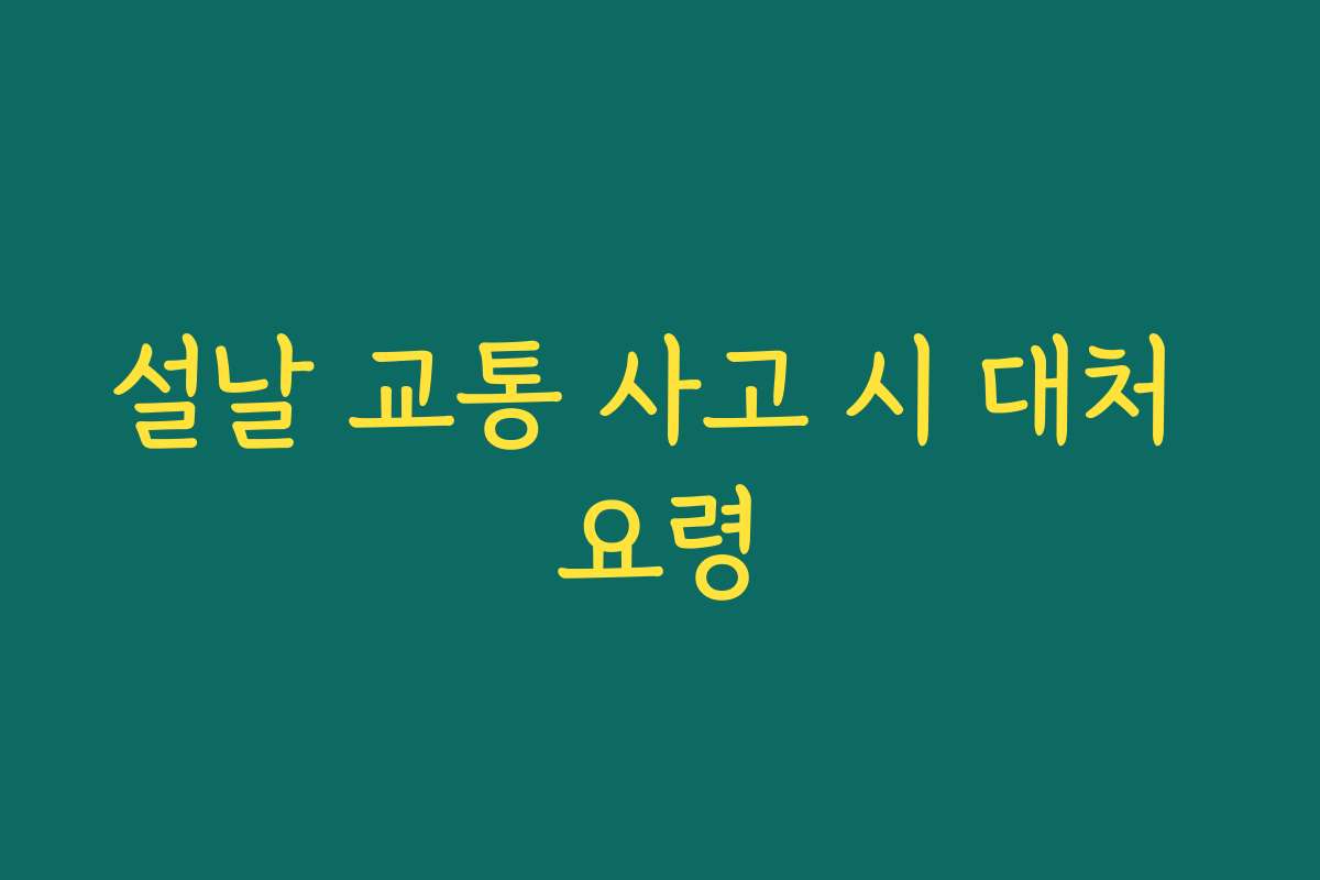 설날 교통 사고 시 대처 요령