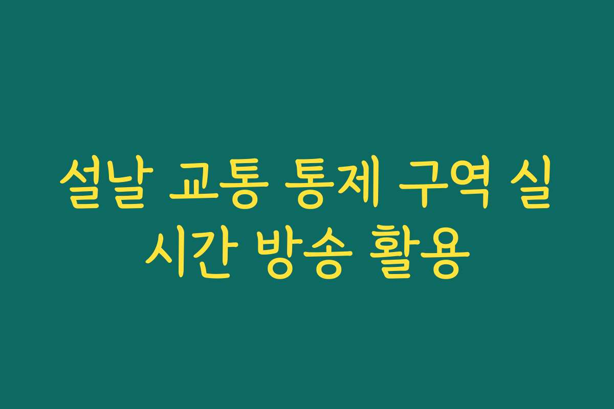 설날 교통 통제 구역 실시간 방송 활용