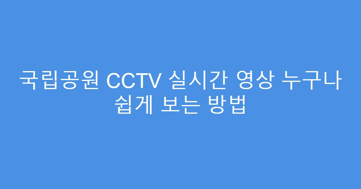 국립공원 CCTV 실시간 영상 누구나 쉽게 보는 방법