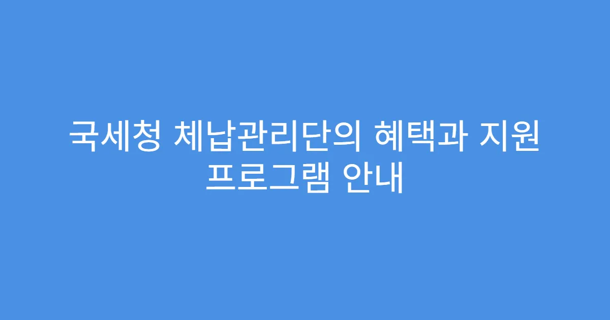 국세청 체납관리단의 혜택과 지원 프로그램 안내
