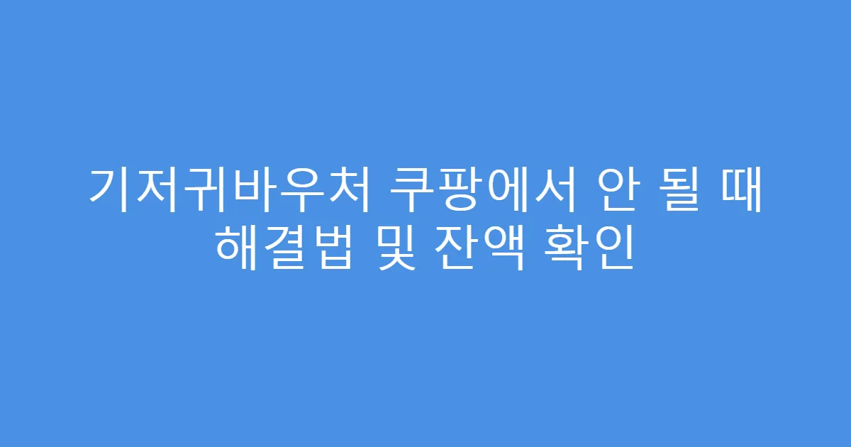 기저귀바우처 쿠팡에서 안 될 때 해결법 및 잔액 확인