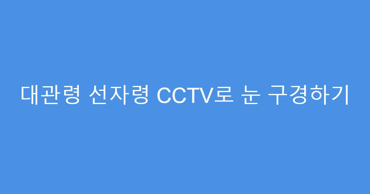 대관령 선자령 CCTV로 눈 구경하기