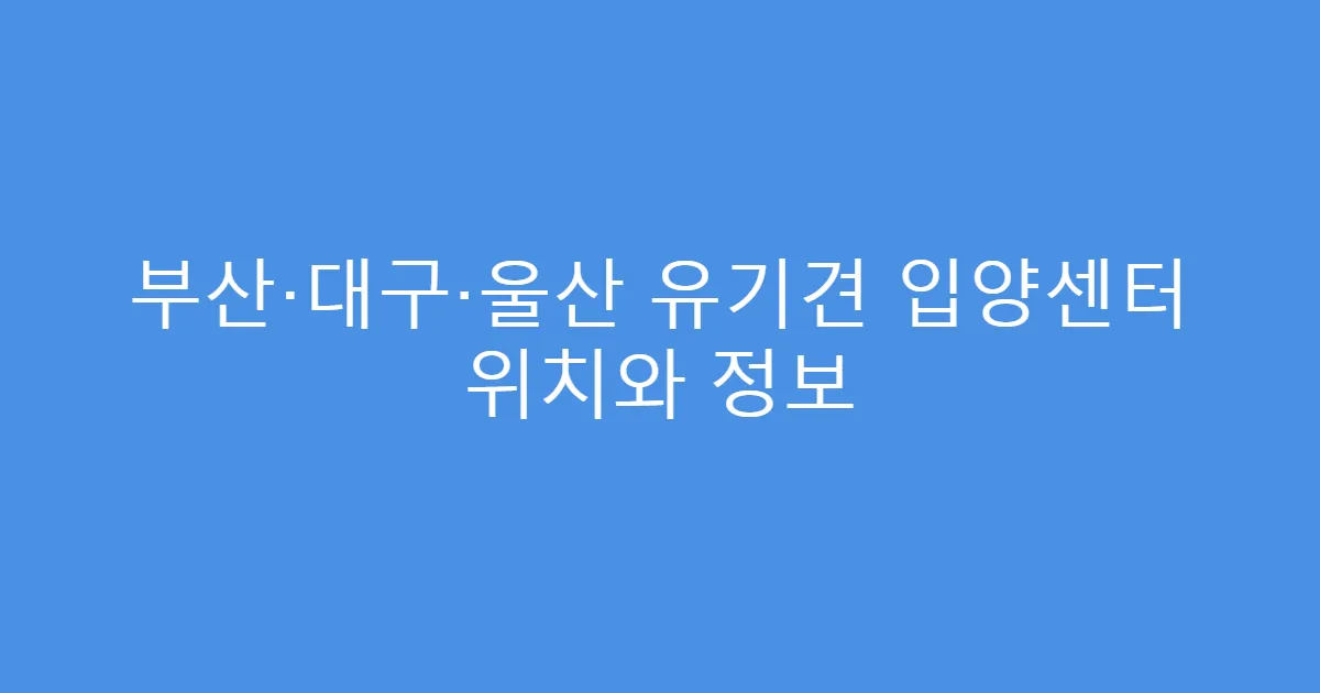 부산·대구·울산 유기견 입양센터 위치와 정보