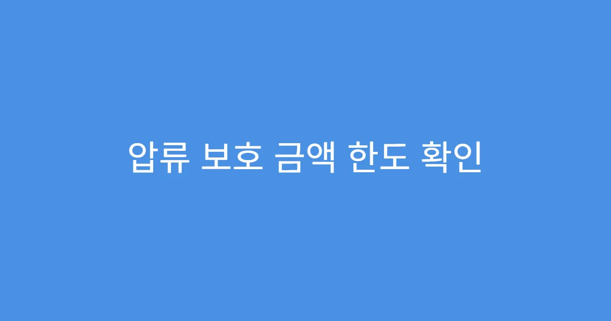 압류 보호 금액 한도 확인