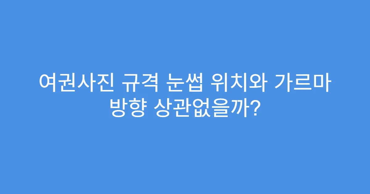 여권사진 규격 눈썹 위치와 가르마 방향 상관없을까?