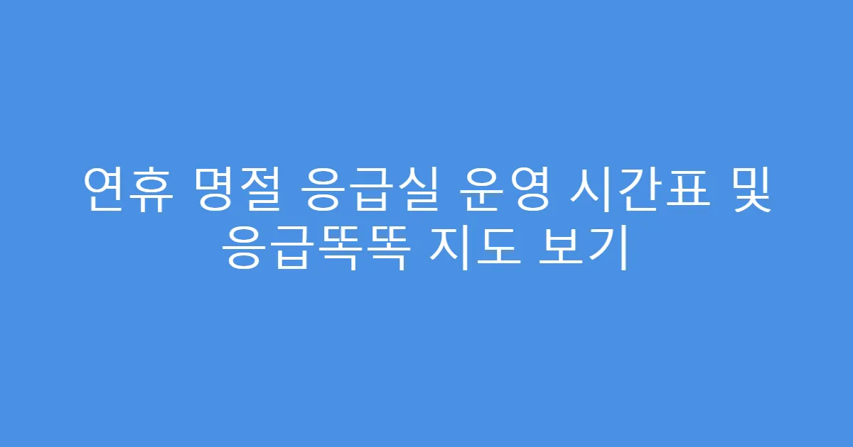 연휴 명절 응급실 운영 시간표 및 응급똑똑 지도 보기