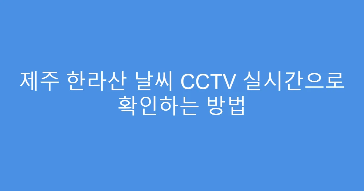제주 한라산 날씨 CCTV 실시간으로 확인하는 방법