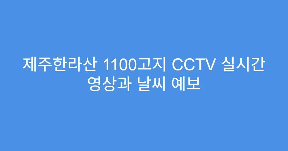제주한라산 1100고지 CCTV 실시간 영상과 날씨 예보