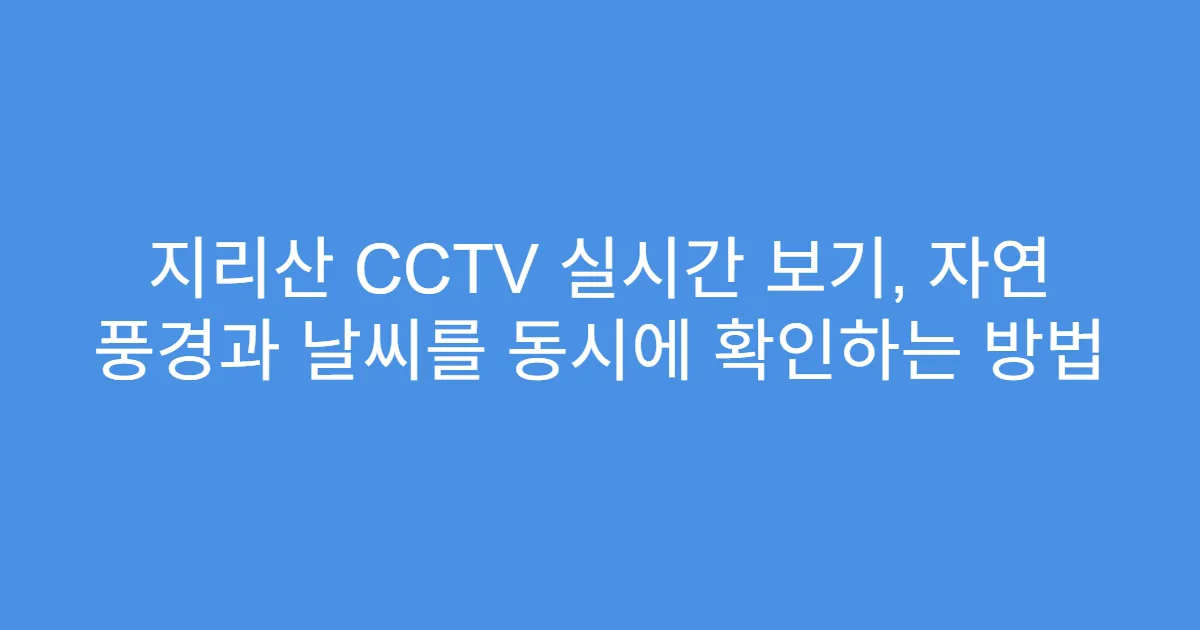 지리산 CCTV 실시간 보기, 자연 풍경과 날씨를 동시에 확인하는 방법