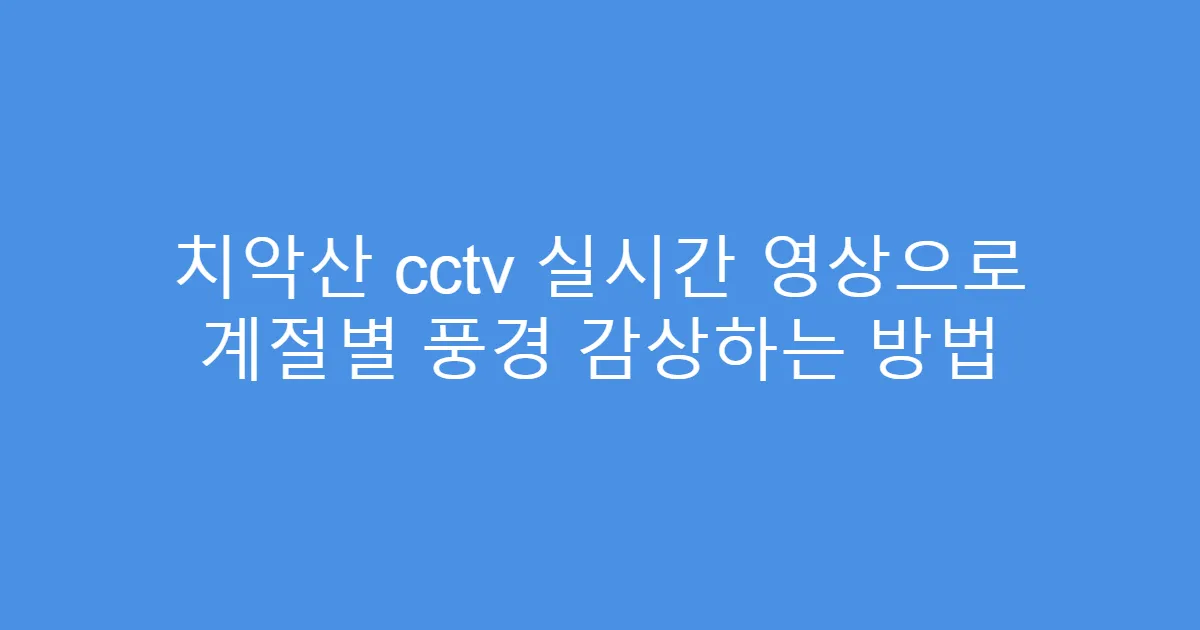 치악산 cctv 실시간 영상으로 계절별 풍경 감상하는 방법