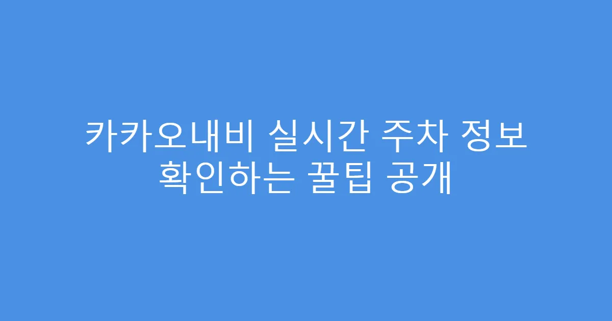 카카오내비 실시간 주차 정보 확인하는 꿀팁 공개