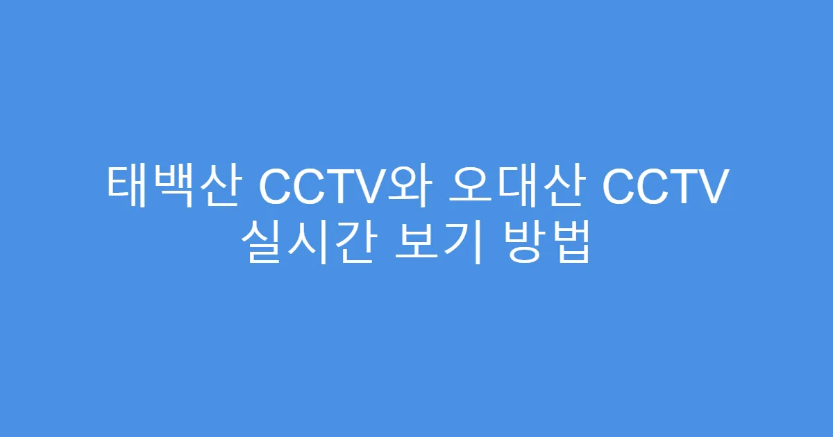 태백산 CCTV와 오대산 CCTV 실시간 보기 방법