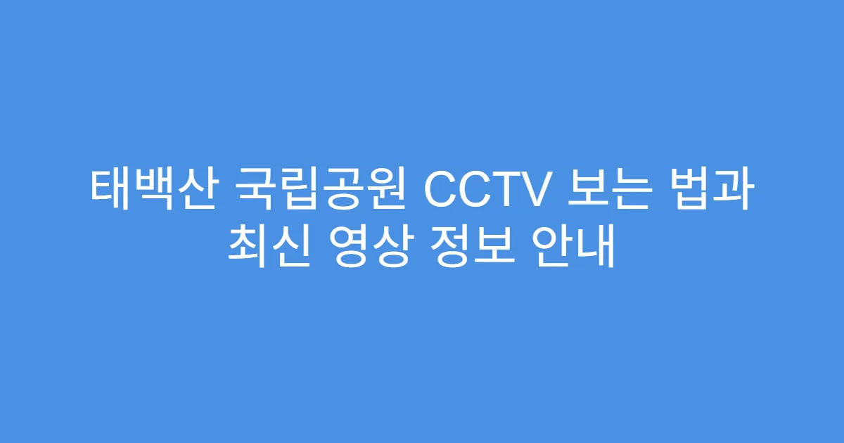 태백산 국립공원 CCTV 보는 법과 최신 영상 정보 안내