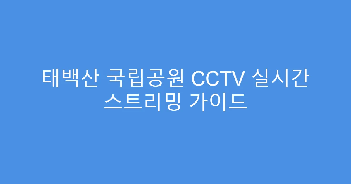 태백산 국립공원 CCTV 실시간 스트리밍 가이드