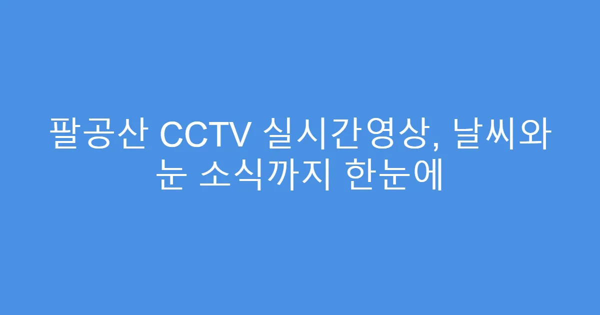 팔공산 CCTV 실시간영상, 날씨와 눈 소식까지 한눈에