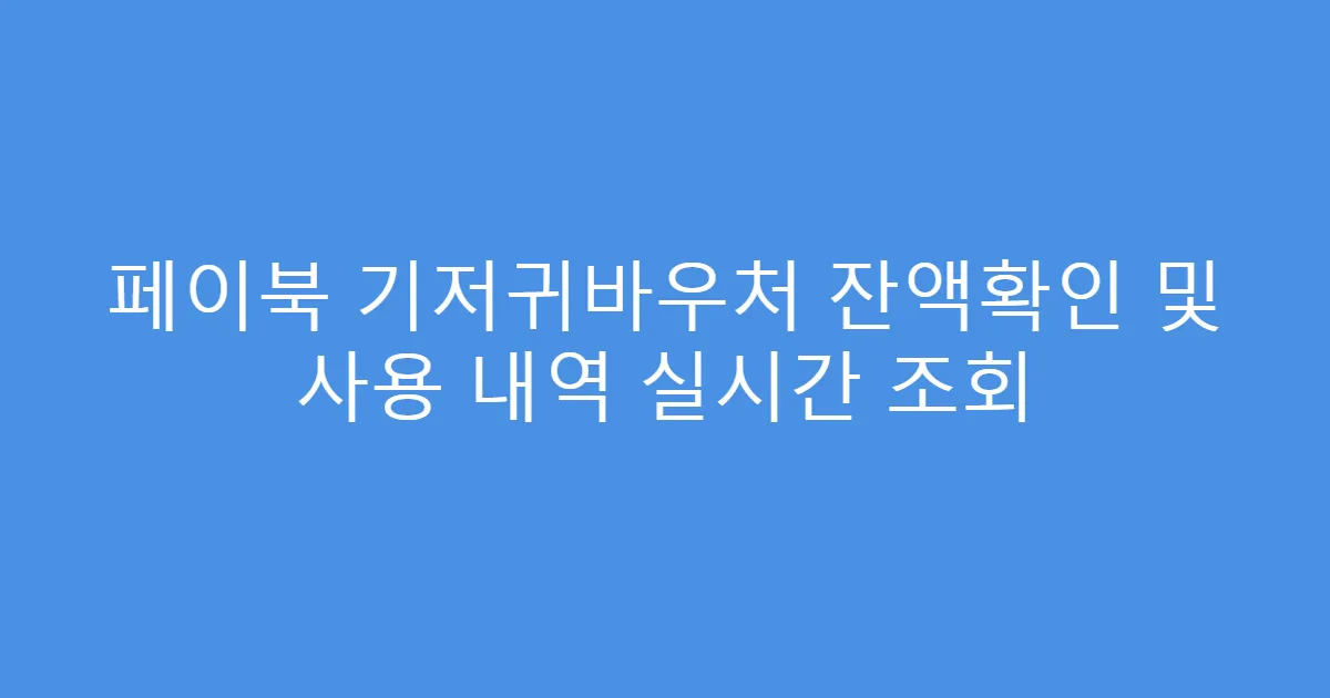페이북 기저귀바우처 잔액확인 및 사용 내역 실시간 조회