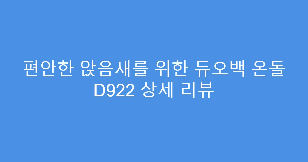 편안한 앉음새를 위한 듀오백 온돌 D922 상세 리뷰