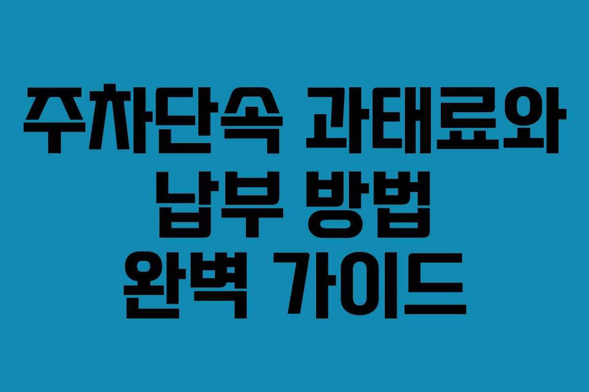 주차단속 과태료와 납부 방법 완벽 가이드