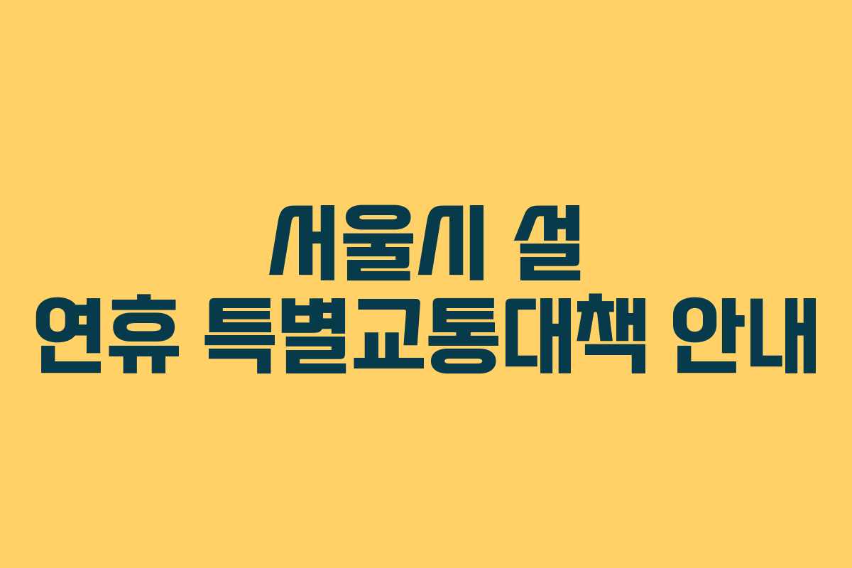 서울시 설 연휴 특별교통대책 안내
