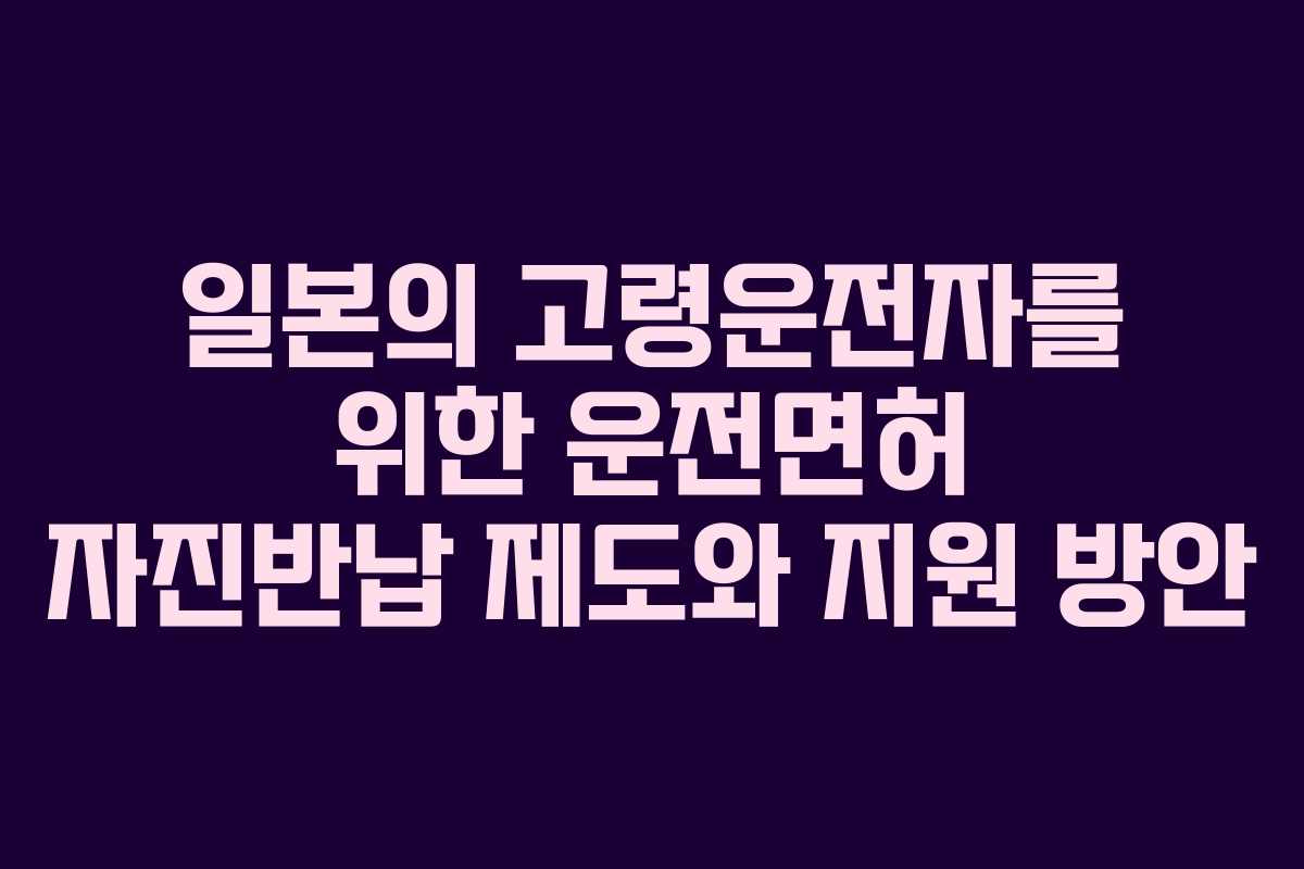 일본의 고령운전자를 위한 운전면허 자진반납 제도와 지원 방안