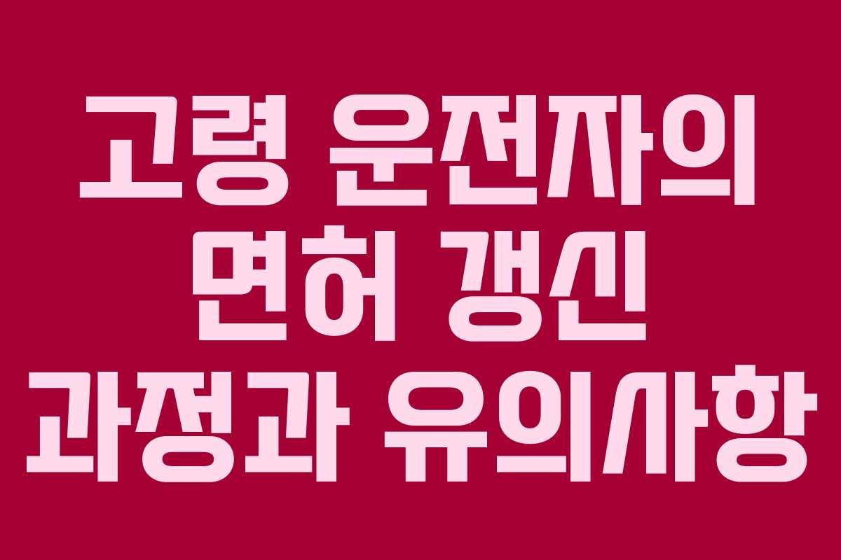 고령 운전자의 면허 갱신 과정과 유의사항