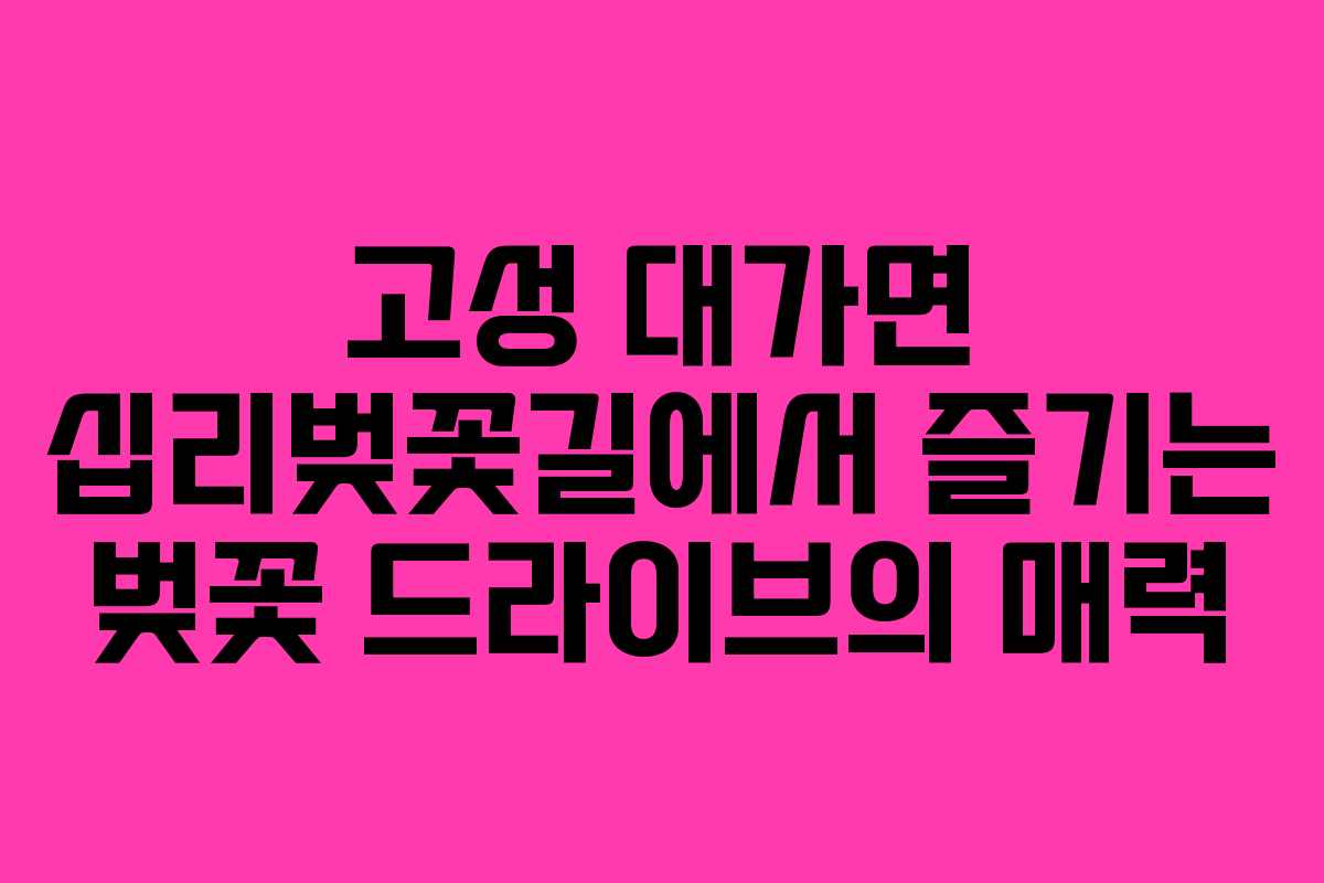 고성 대가면 십리벚꽃길에서 즐기는 벚꽃 드라이브의 매력