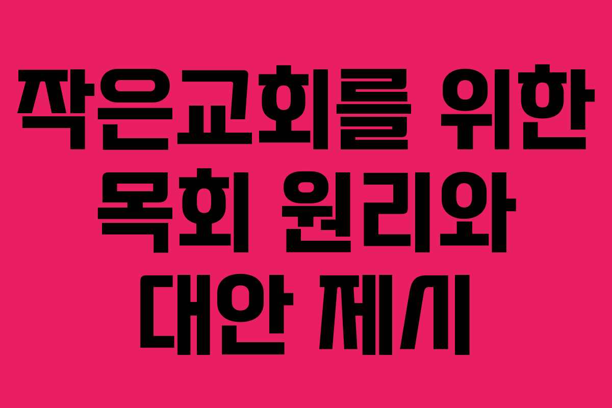 작은교회를 위한 목회 원리와 대안 제시