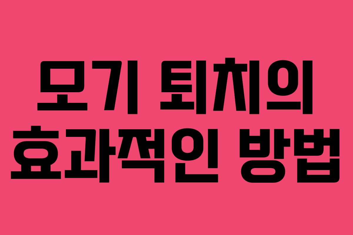 모기 퇴치의 효과적인 방법