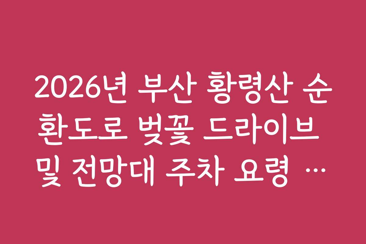 2026년 부산 황령산 순환도로 벚꽃 드라이브 및 전망대 주차 요령 가이드