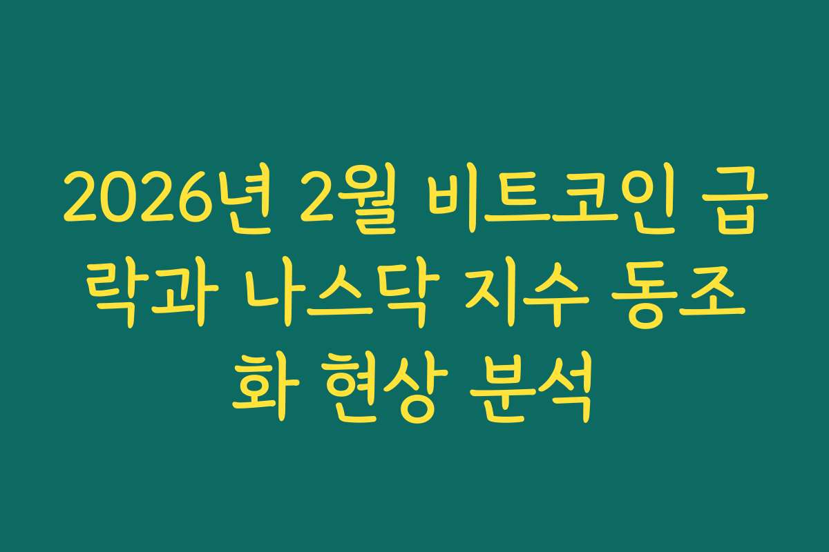 2026년 2월 비트코인 급락과 나스닥 지수 동조화 현상 분석