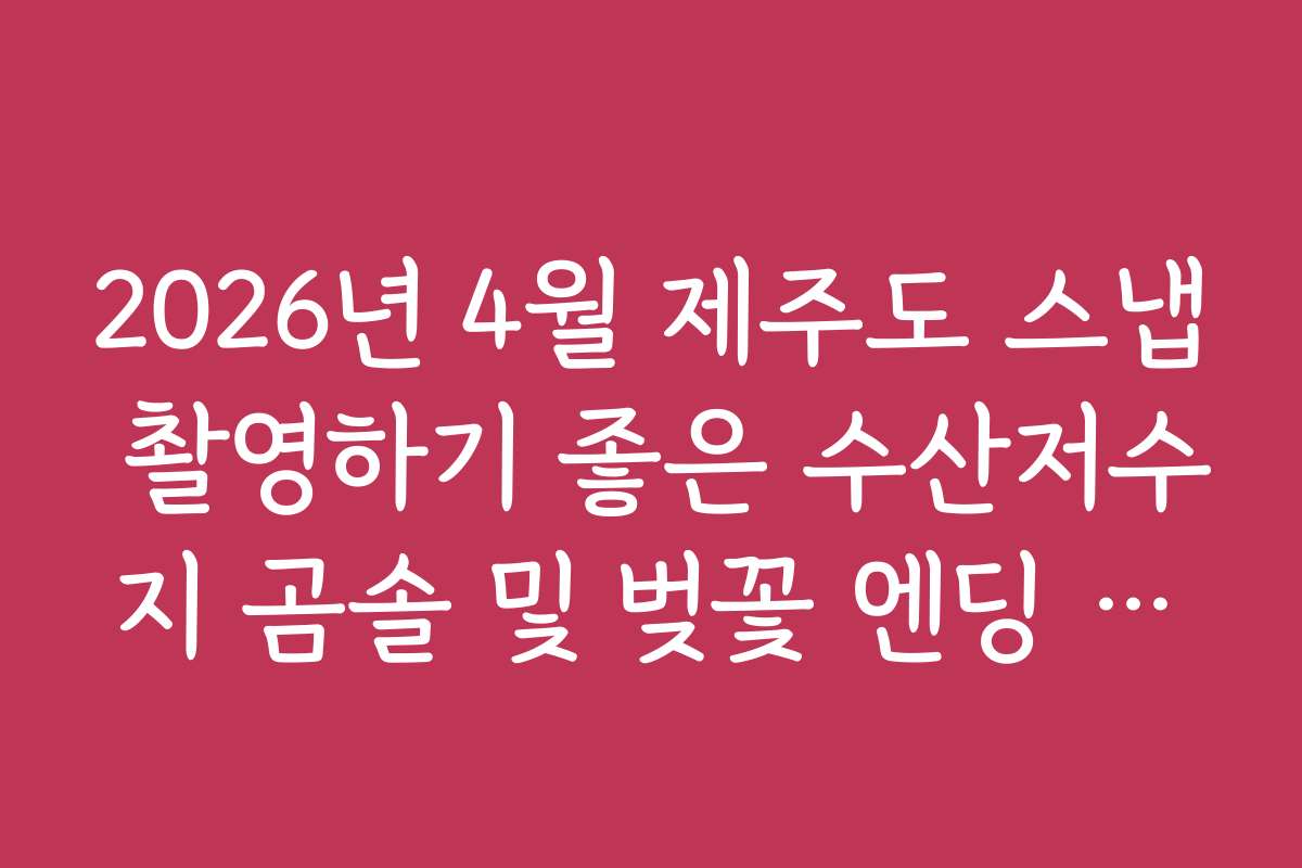 2026년 4월 제주도 스냅 촬영하기 좋은 수산저수지 곰솔 및 벚꽃 엔딩 코스
