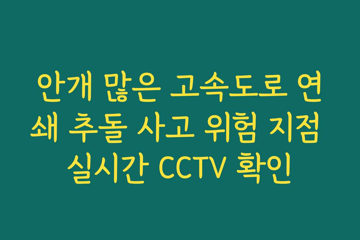 안개 많은 고속도로 연쇄 추돌 사고 위험 지점 실시간 CCTV 확인