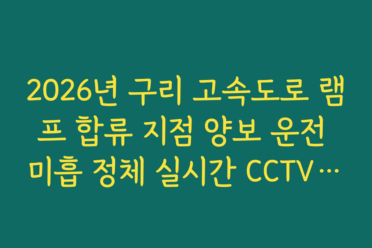2026년 구리 고속도로 램프 합류 지점 양보 운전 미흡 정체 실시간 CCTV 확인