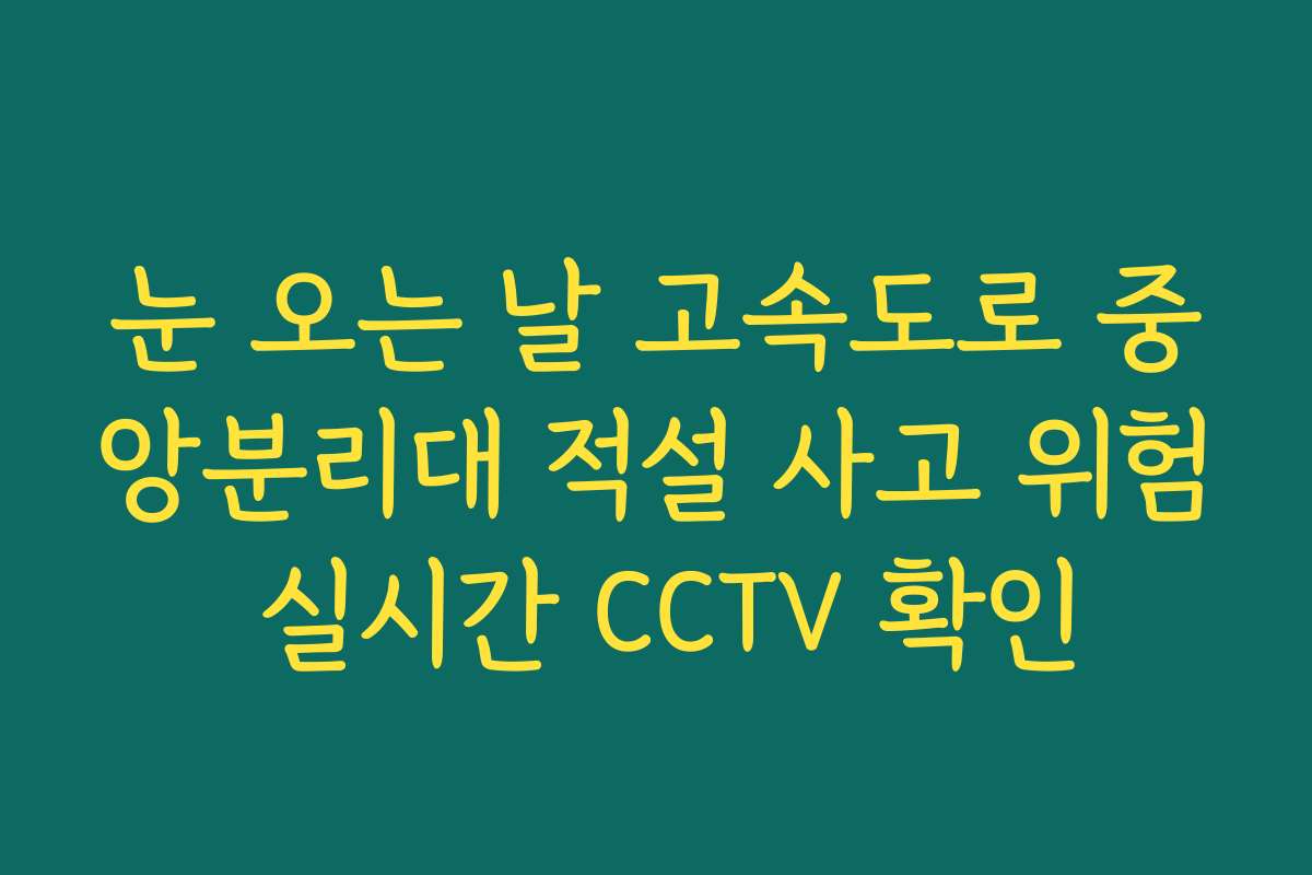 눈 오는 날 고속도로 중앙분리대 적설 사고 위험 실시간 CCTV 확인