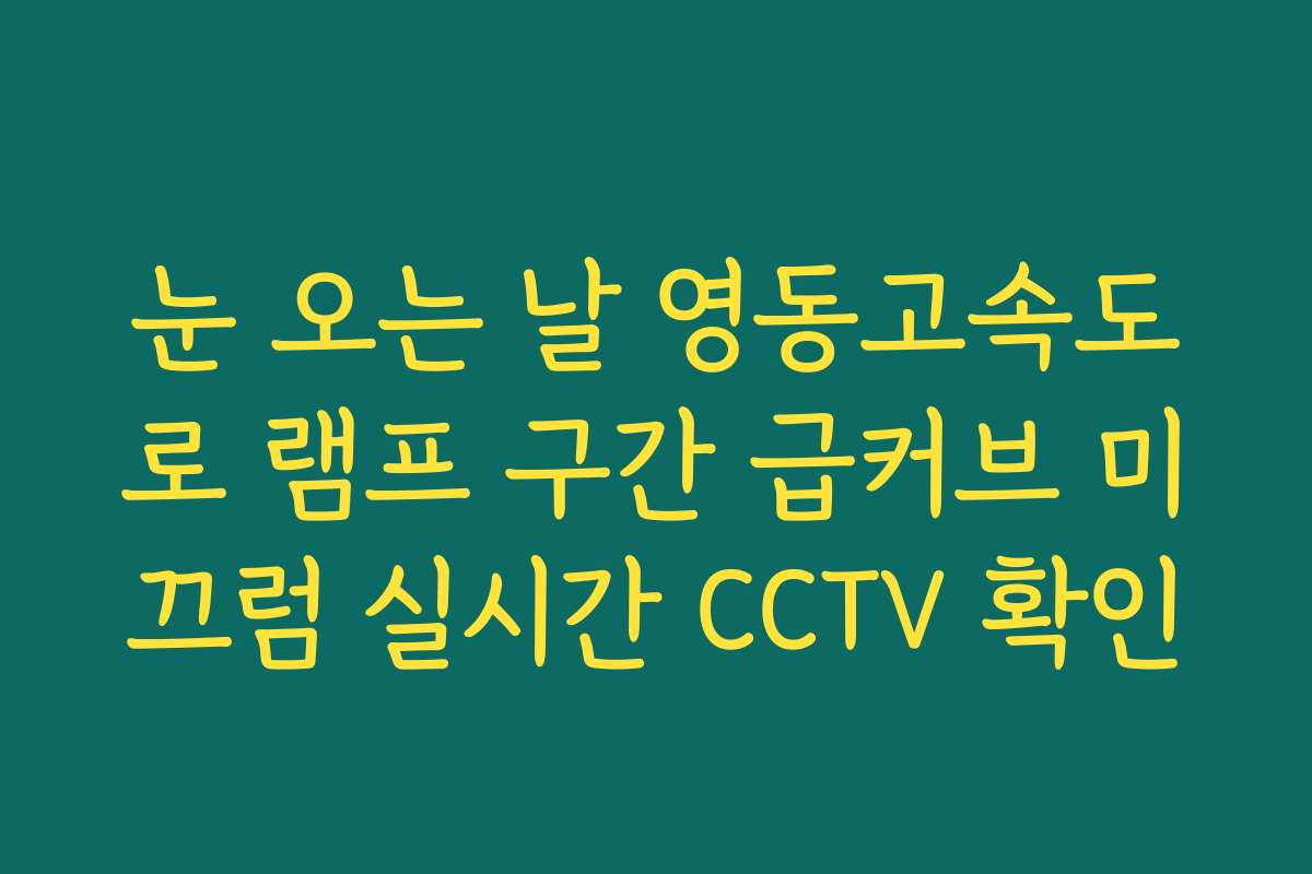 눈 오는 날 영동고속도로 램프 구간 급커브 미끄럼 실시간 CCTV 확인