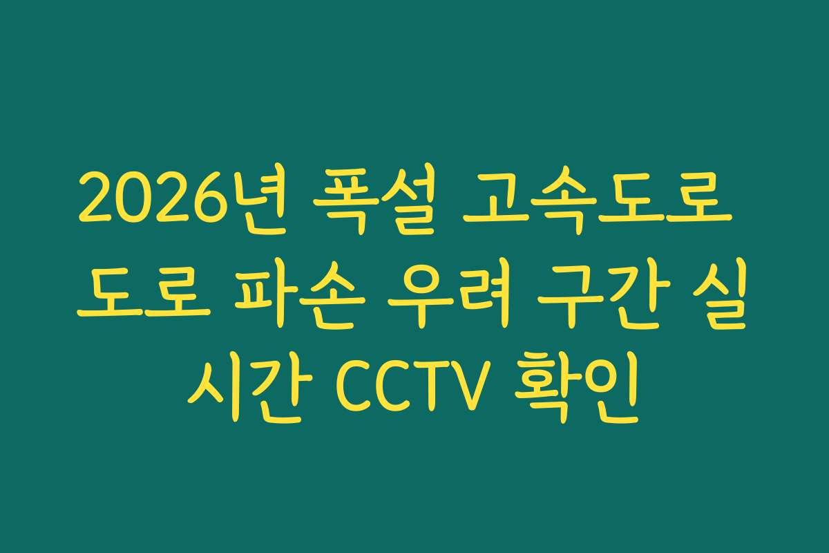 2026년 폭설 고속도로 도로 파손 우려 구간 실시간 CCTV 확인
