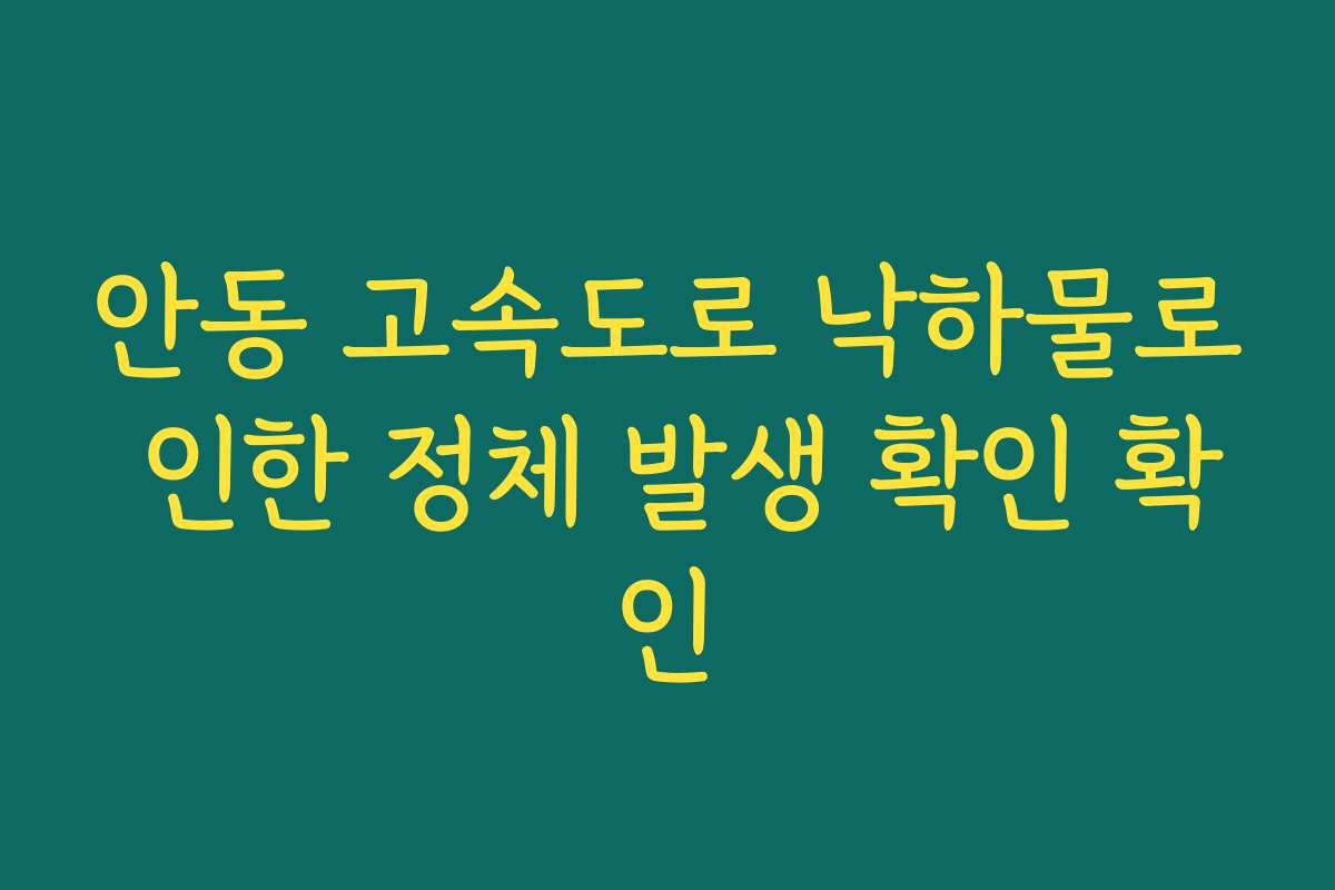 안동 고속도로 낙하물로 인한 정체 발생 확인 확인