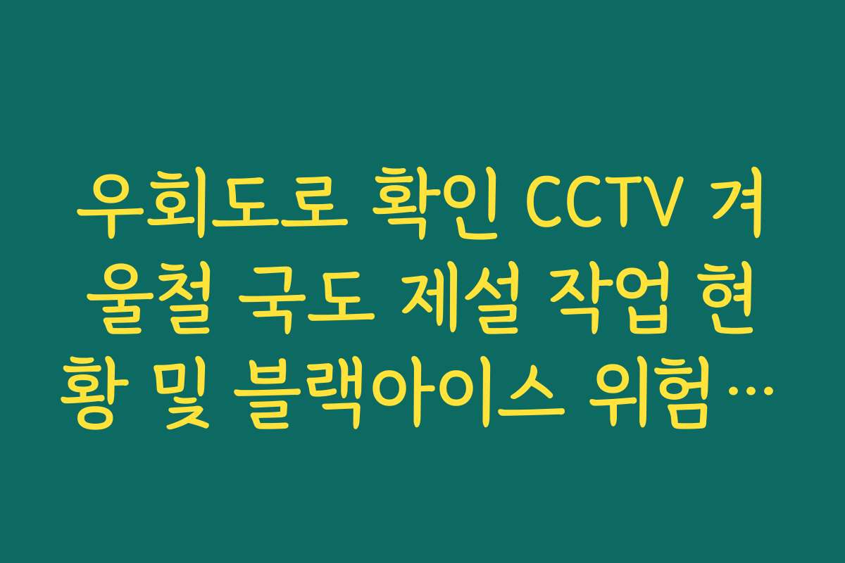 우회도로 확인 CCTV 겨울철 국도 제설 작업 현황 및 블랙아이스 위험 지점
