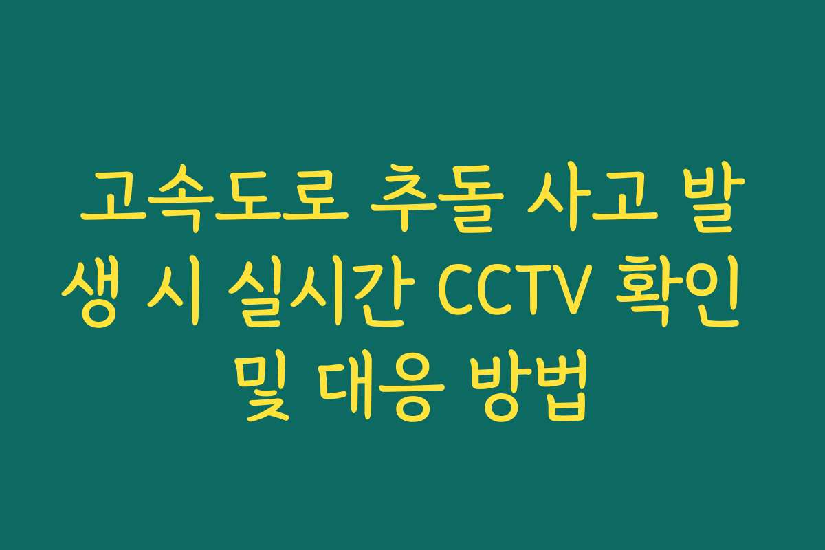 고속도로 추돌 사고 발생 시 실시간 CCTV 확인 및 대응 방법