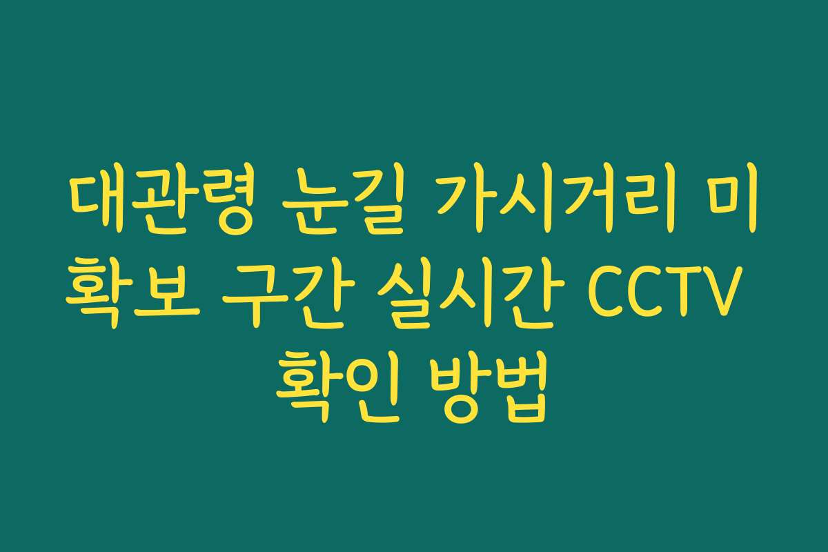 대관령 눈길 가시거리 미확보 구간 실시간 CCTV 확인 방법
