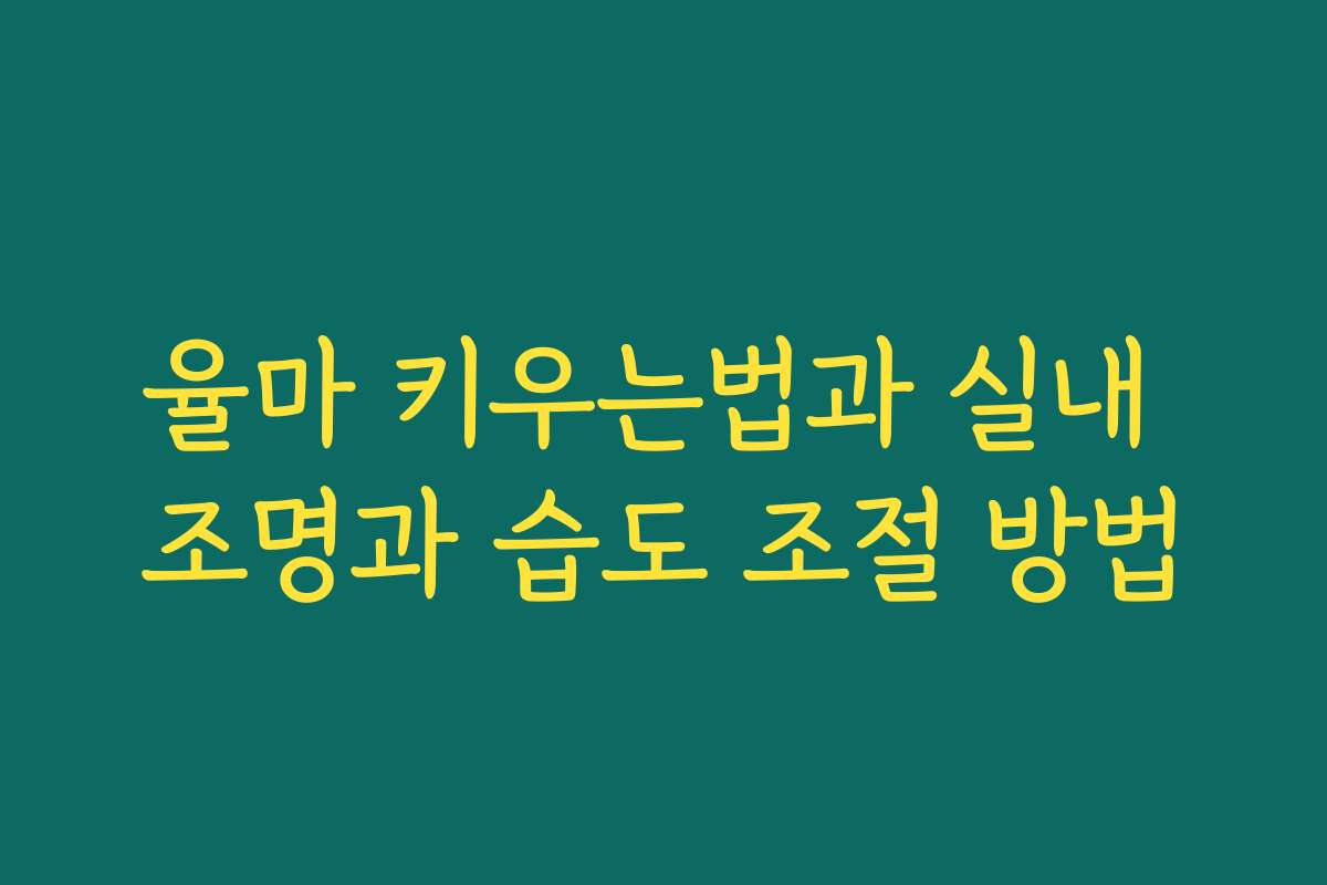 율마 키우는법과 실내 조명과 습도 조절 방법